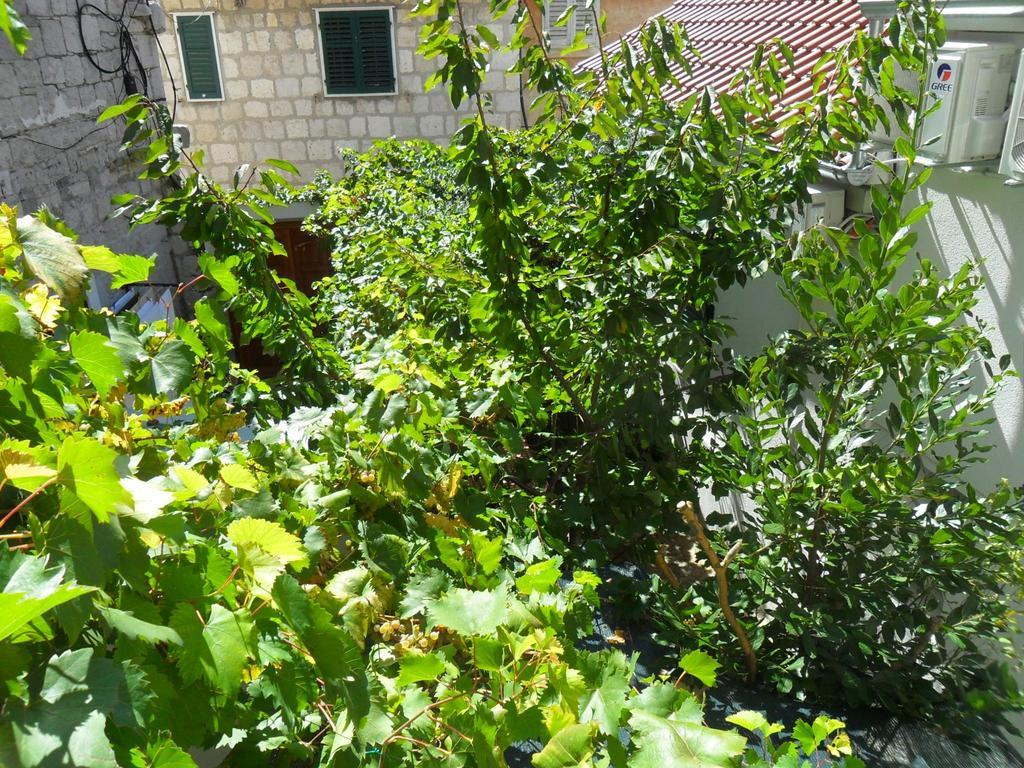 Apartments Villa Dube Σπλιτ Εξωτερικό φωτογραφία